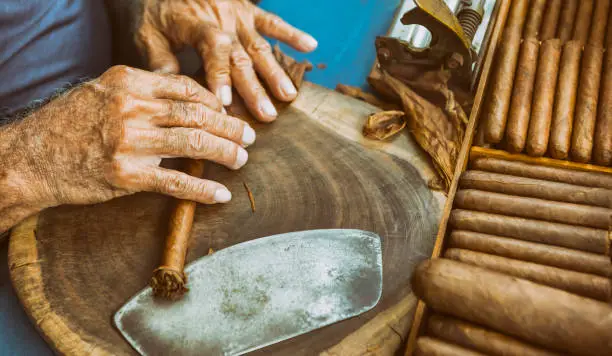 Hand-rolling a cigar at La Sétima