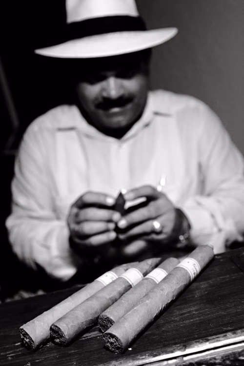 A master torcedor hand-rolling cigars at La Sétima